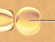 36 lat in vitro na świecie, 27 w Polsce – ewolucja...