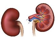 Inhibitory pompy protonowej mogą zwiększać ryzyko...