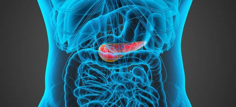Rozstrzygnięcie konkursu grantowego na polskie badania nad rakiem trzustki