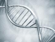 Ekspert: dieta czy używki pozostawiają ślady w DNA